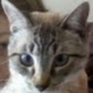 Meet your Posher, Riley